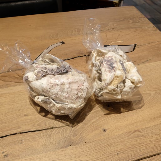 Bag with Oyster shells