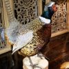 Pheasant on Wood Block