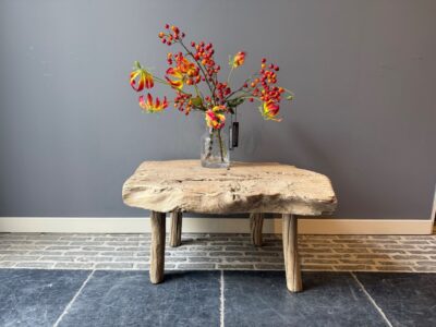 Table d’Appoint En Bois d’Orme 73X58CM