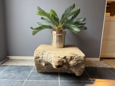 Elmwood Salontafel Boomstam 96X78CM