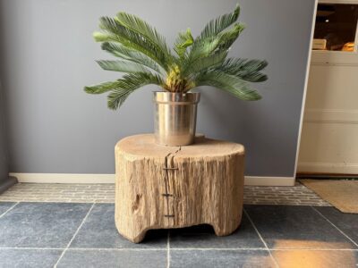 Elmwood Boomstamtafel 77X67CM