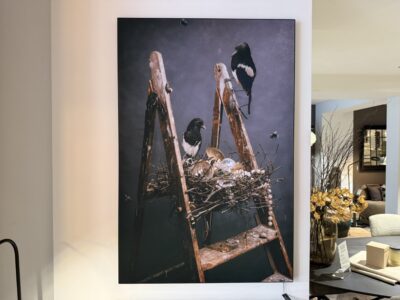 Toile - Magpies On Stairs